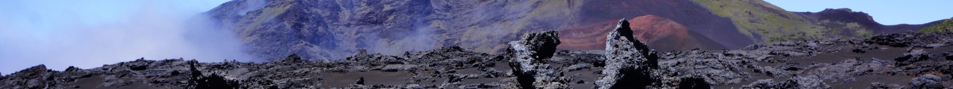 Paint Poet Media Inc.